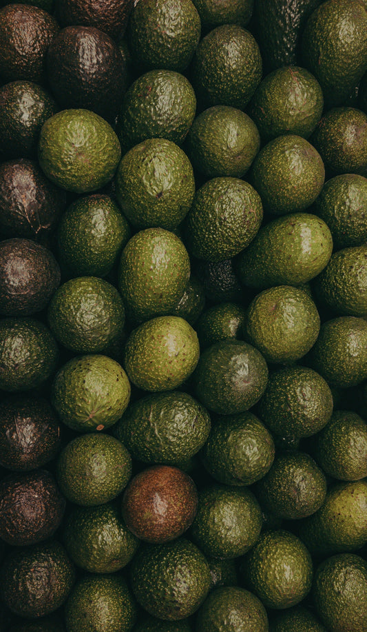Avocado Oil