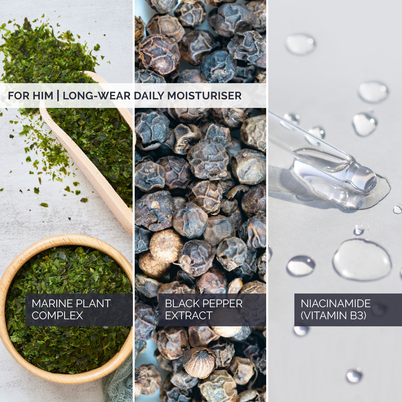 For Him | Long-Wear Daily Moisturiser