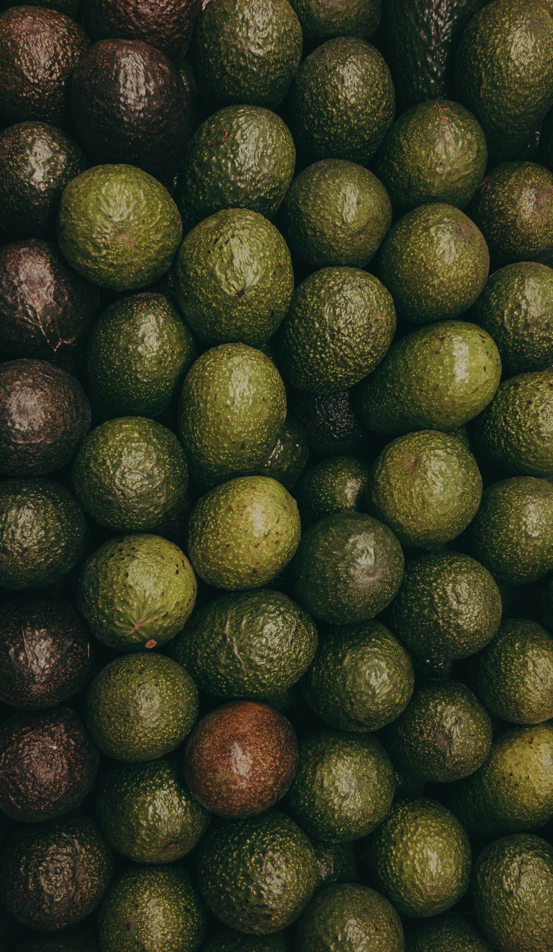 Avocado Oil