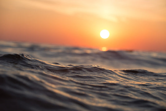 Marine Collagen